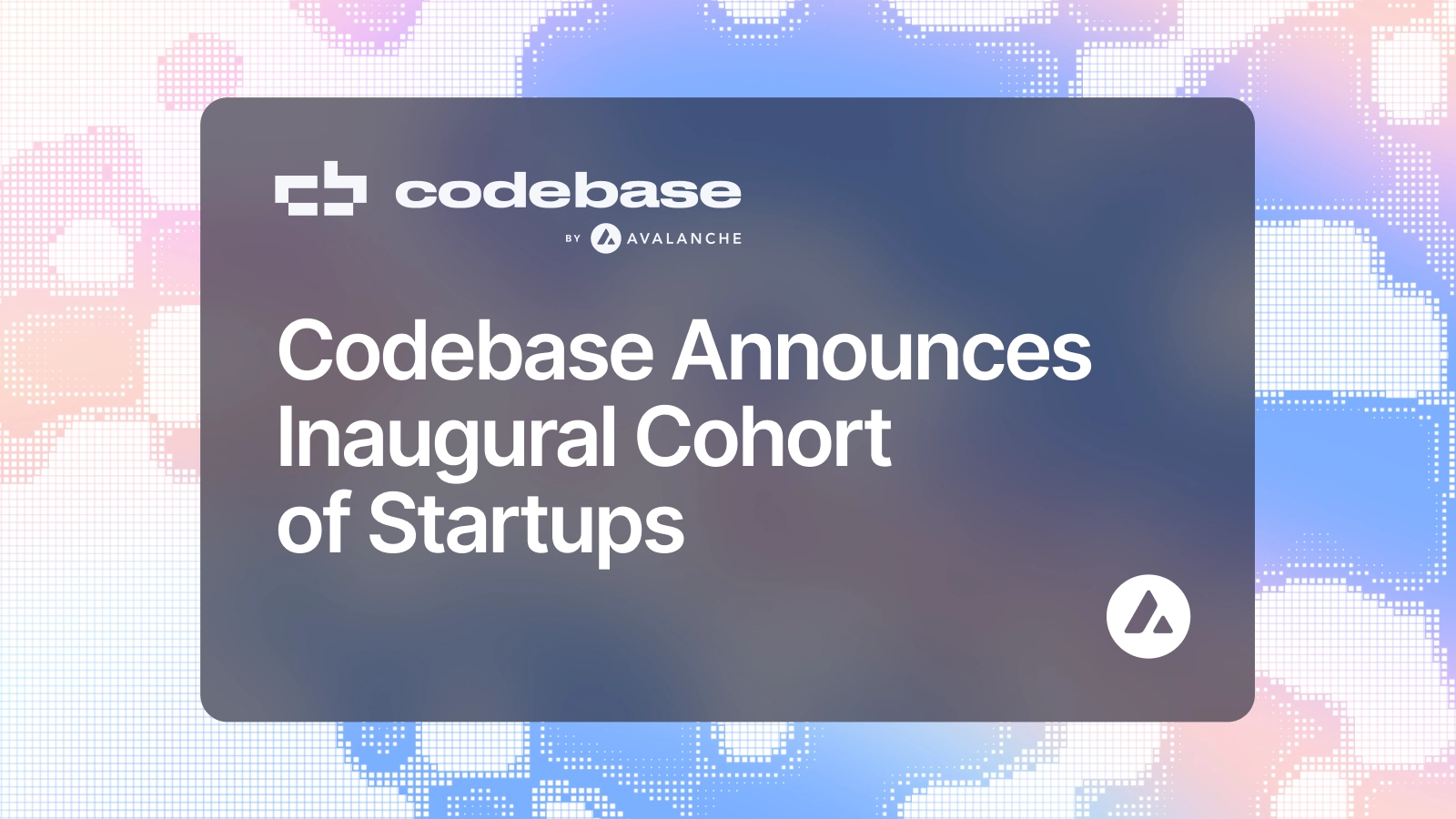 Startup Incubator Codebase by Avalanche® Names First Cohort