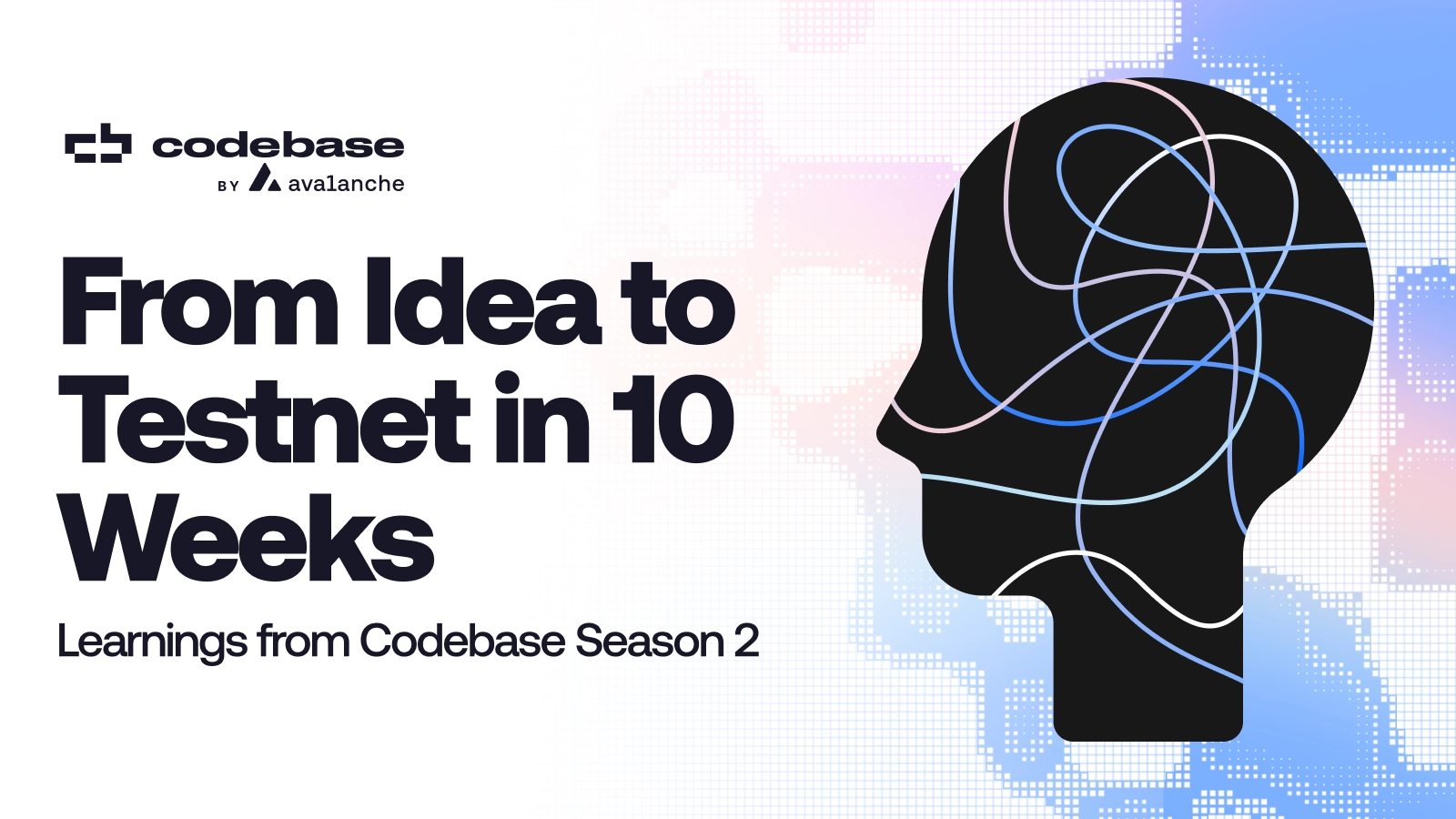 From Idea to Testnet in 10 Weeks: What We Learned from Codebase By Avalanche® Cohort 2