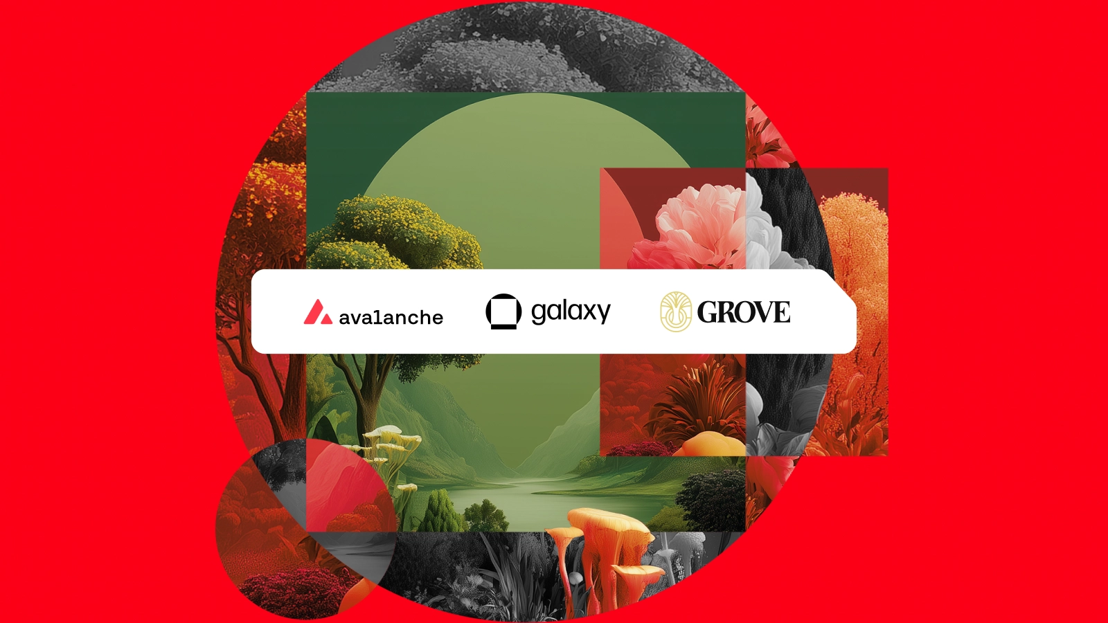Galaxy Launches Tokenized CLO on Avalanche with $50M Allocation from Grove