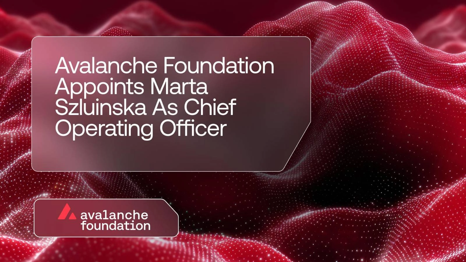 Avalanche Foundation Appoints Marta Szluinska as Chief Operating Officer